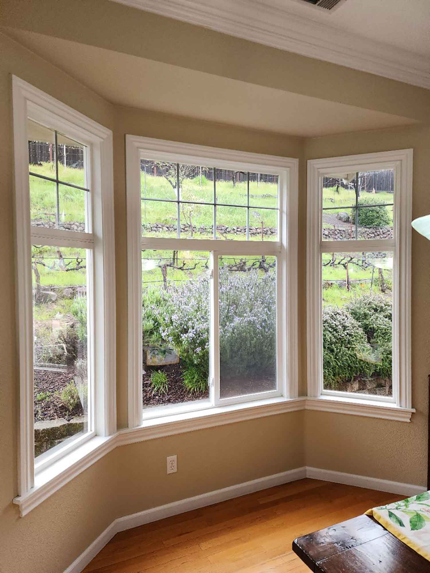 Adding 3M Window film to your Lafayette, CA, home can reduce energy costs, minimize eye strain, and reduce fading. Get a free estimate from ClimatePro.