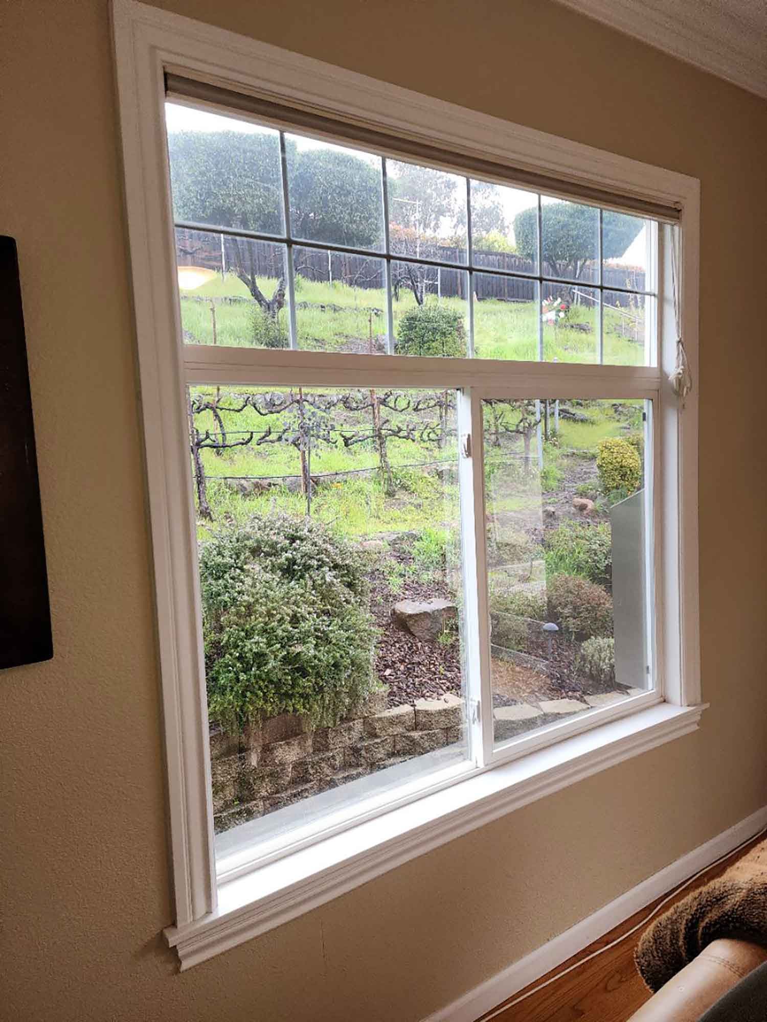 Adding 3M Window film to your Lafayette, CA, home can reduce energy costs, minimize eye strain, and reduce fading. Get a free estimate from ClimatePro.