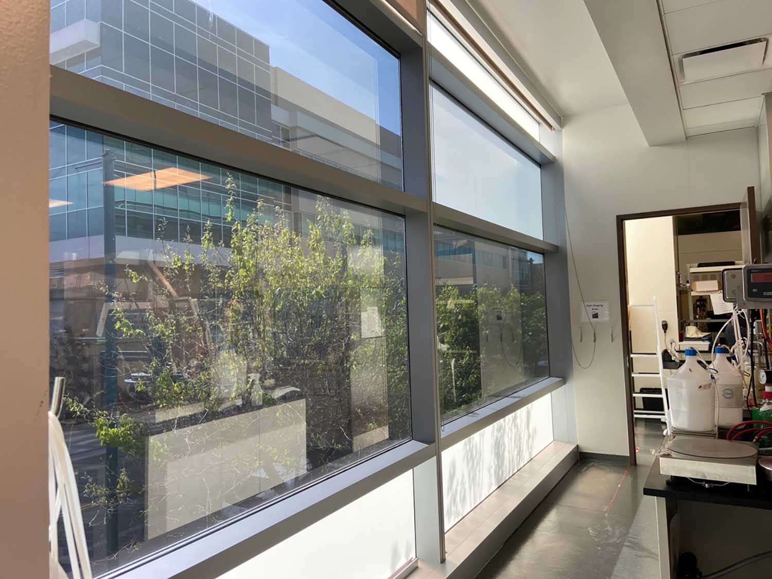 3M Window Film creates a better workplace for Emeryville workers. Get a free estimate for your business from ClimatePro.