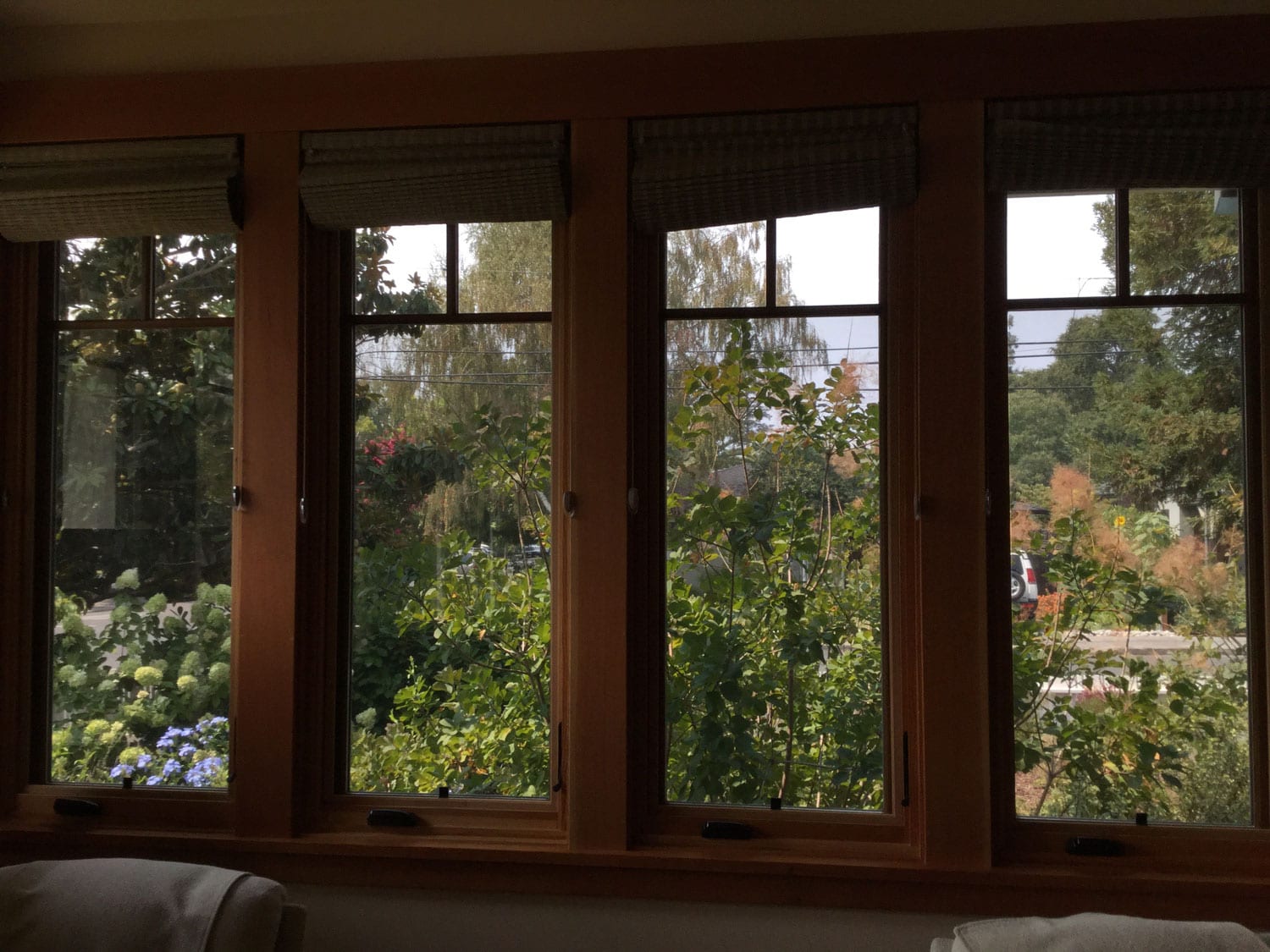 3M Night Vision Window Film for Sonoma, CA