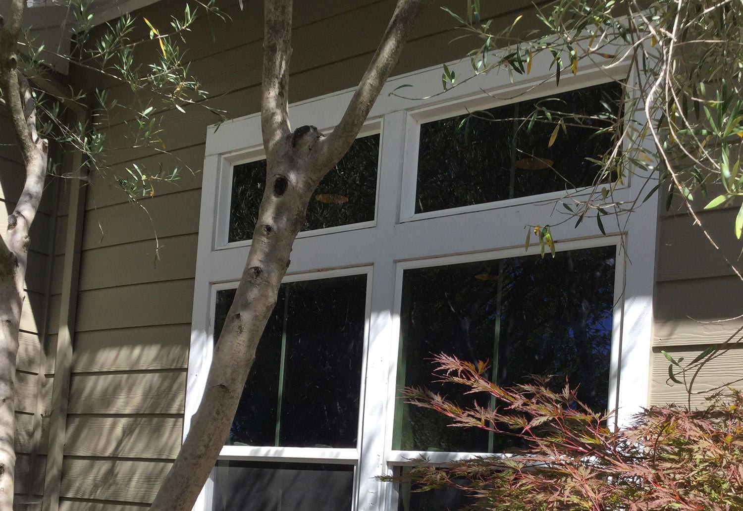 Before and After: 3M Sun Control Exterior Window Film