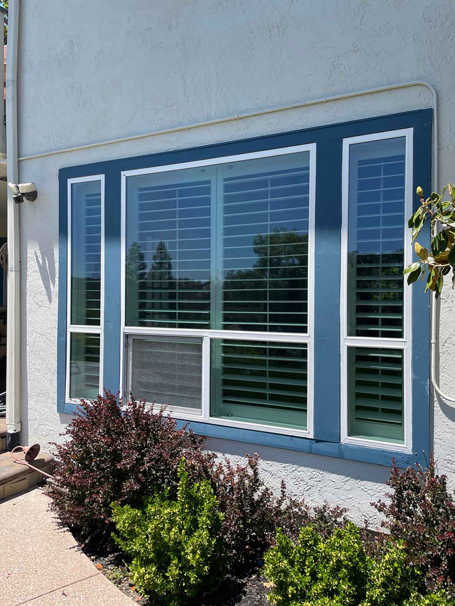 3M Prestige Exterior Window Film for Alamo, CA Homes by ClimatePro