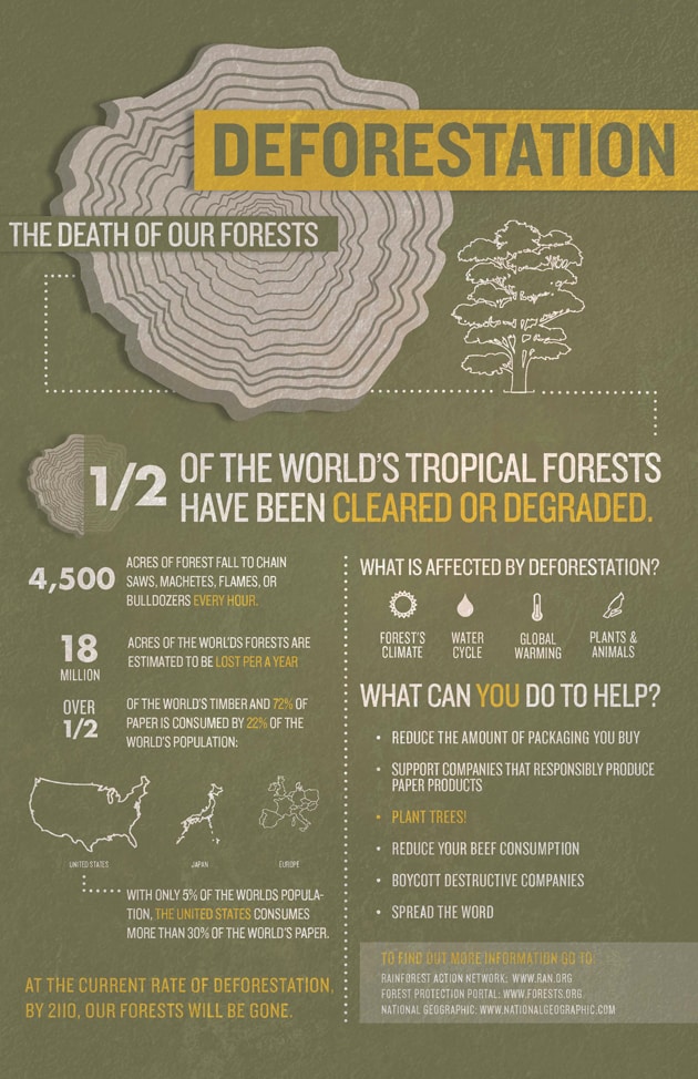 Infographic_JessicaStrelioff