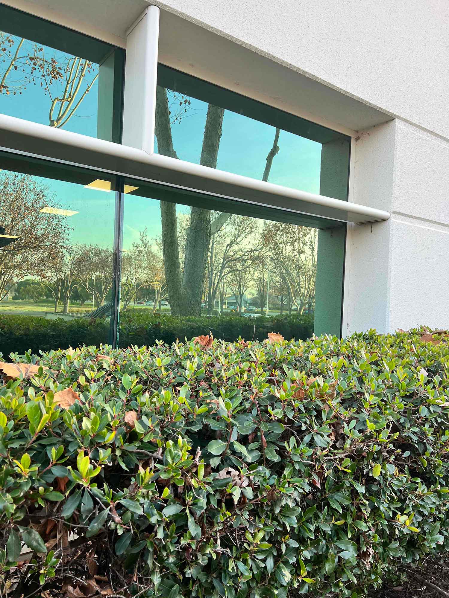 Save money on your energy bills like this San Jose business did, with 3M Night Vision Window Tint.