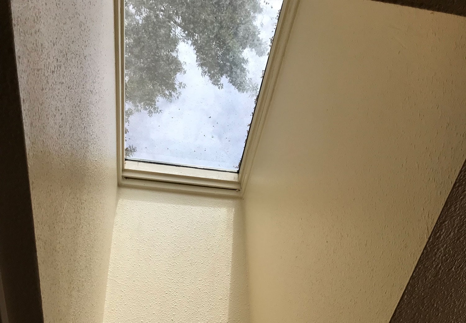 Sun Control Window Tint for Skylights and Windows