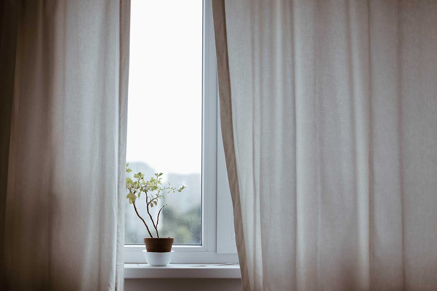 Window Film and Window Coverings: The Perfect Pairing