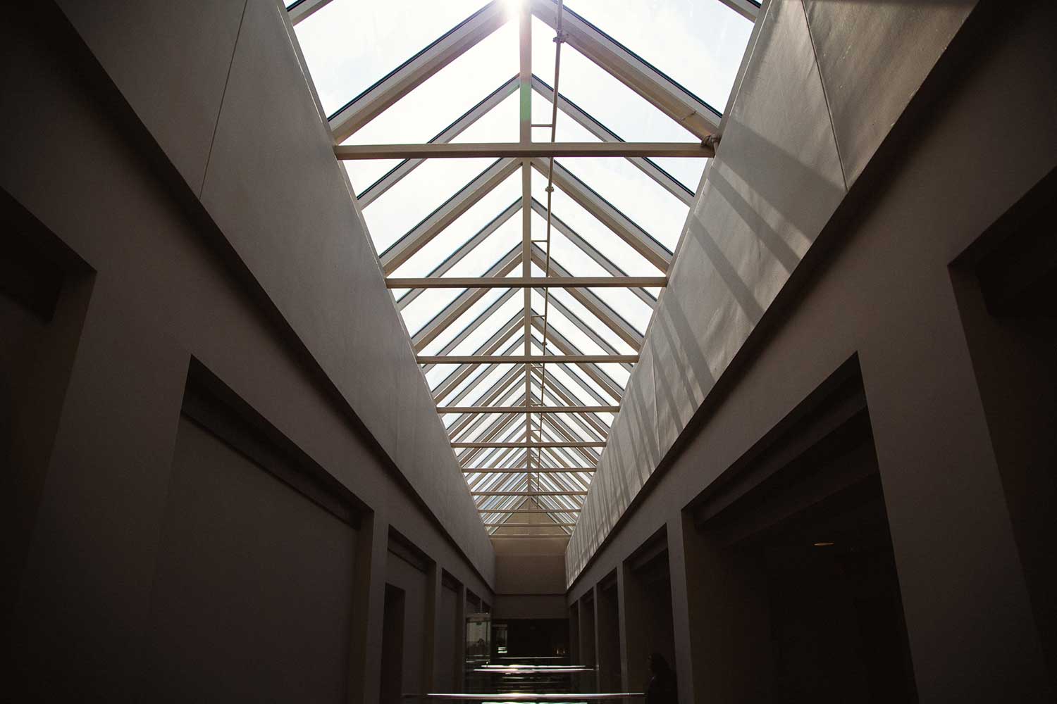 commercial skylight tinting