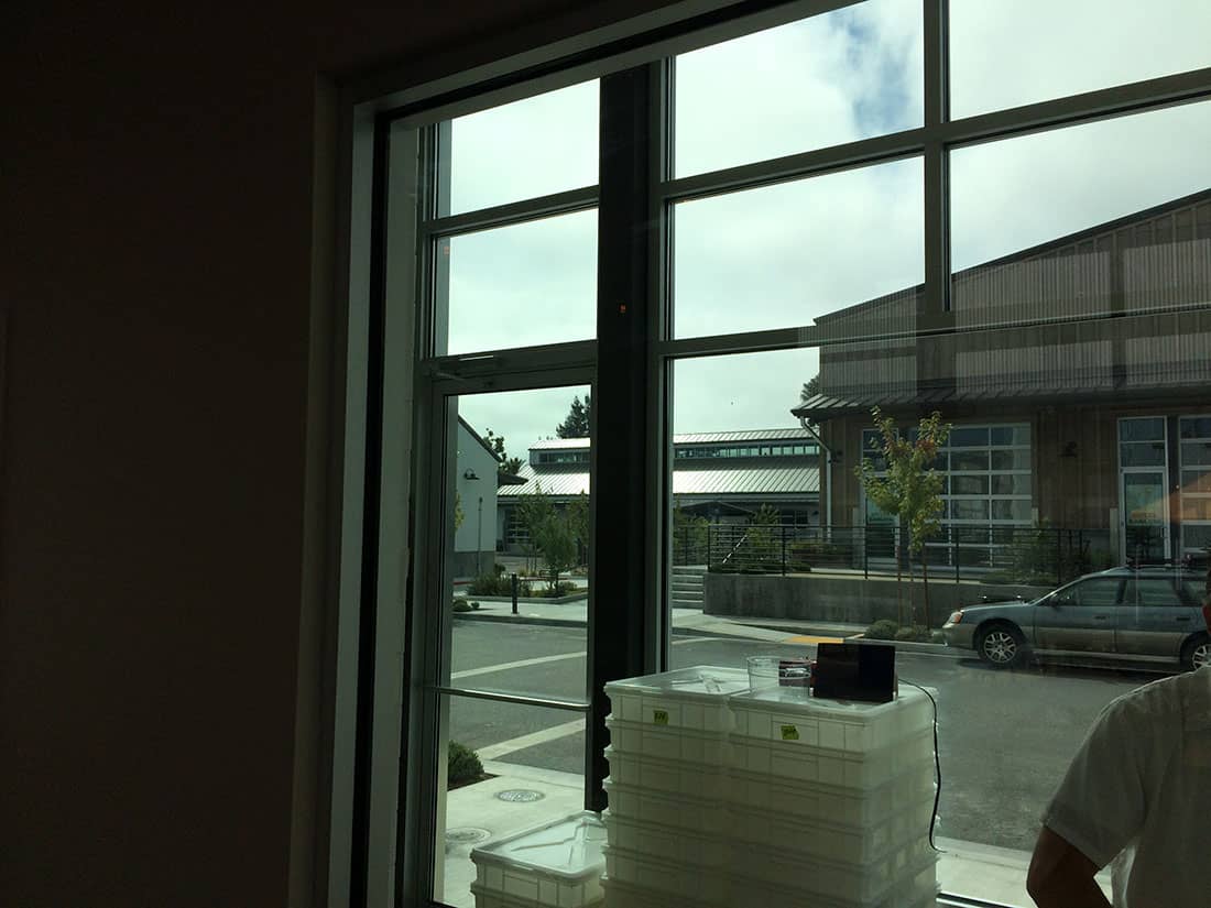 The ClimatePro team replaced old window film that was not designed for the sunlit environment of a residential pool room.