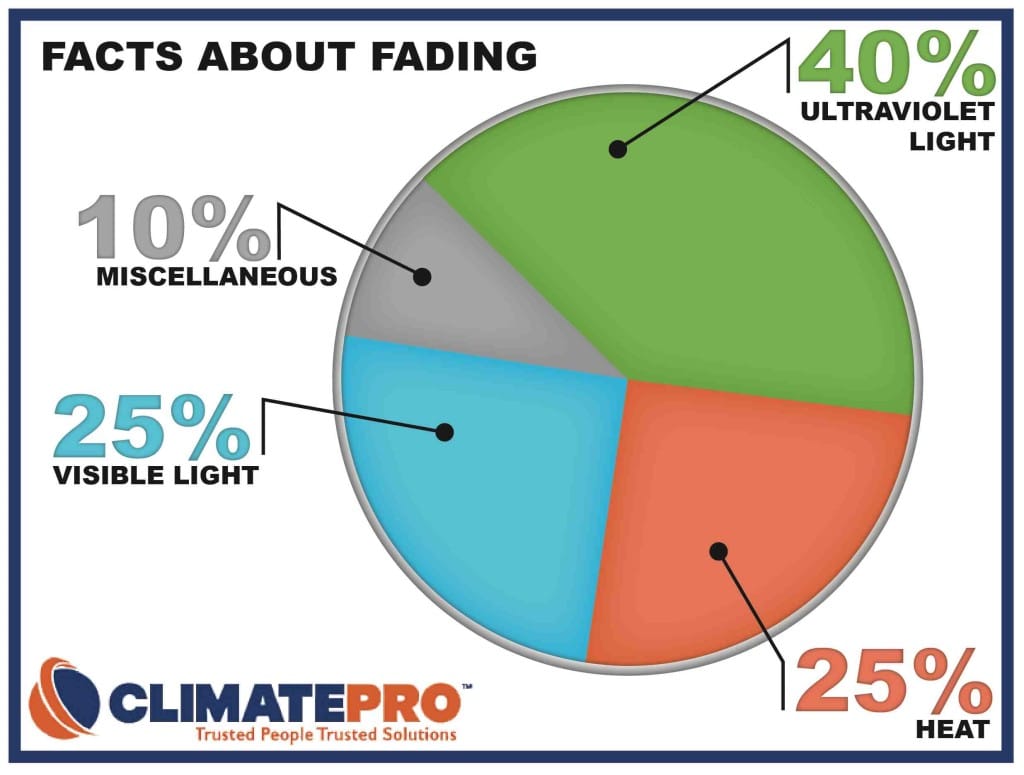 piechart-07_OPTIMIZED-1024x775