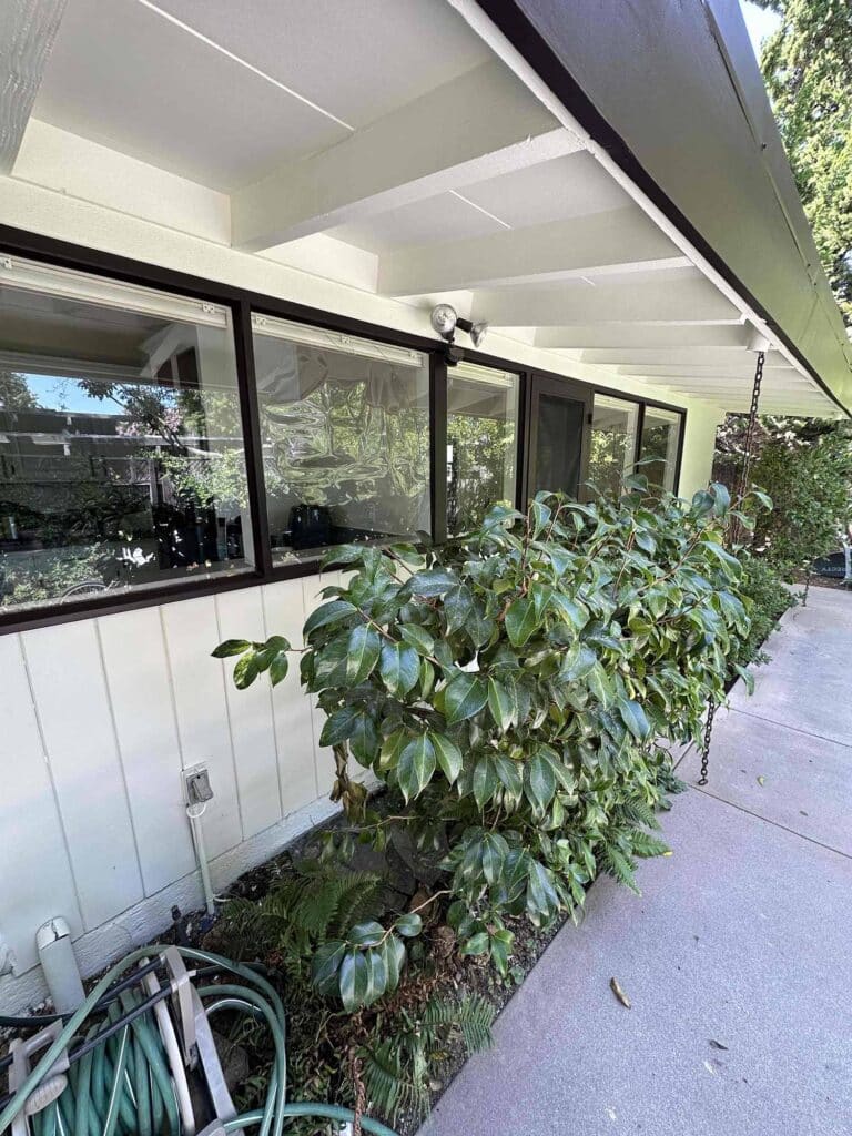 Safety Window Film for Palo Alto, CA Homes. Installed by ClimatePro.