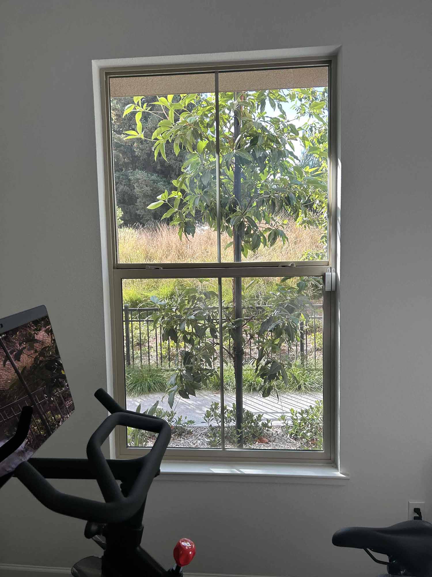 Safety and Sun Control Window Film for Sunnyvale, CA Homes. Installed by ClimatePro.