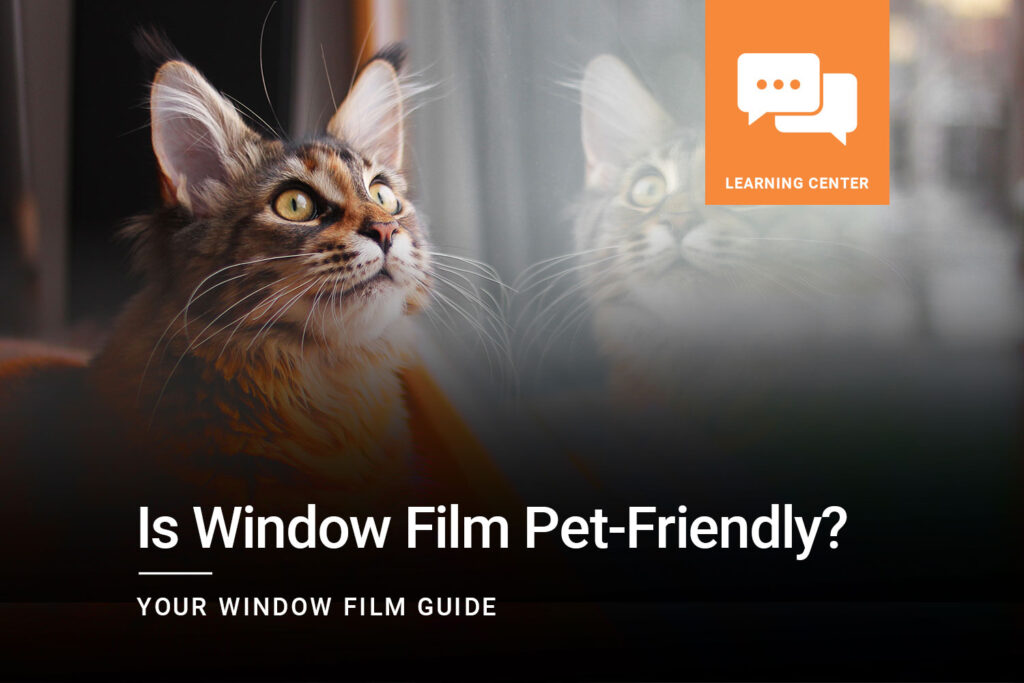 Is-Window-FIlm-Pet-Friendly_ClimatePro_1
