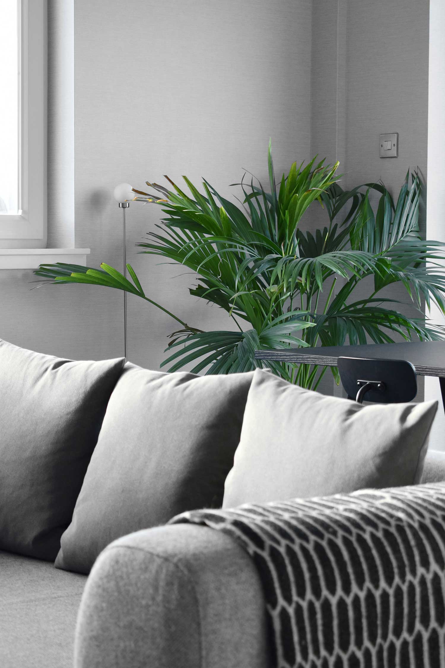Houseplants can thrive with 3M Window Film.