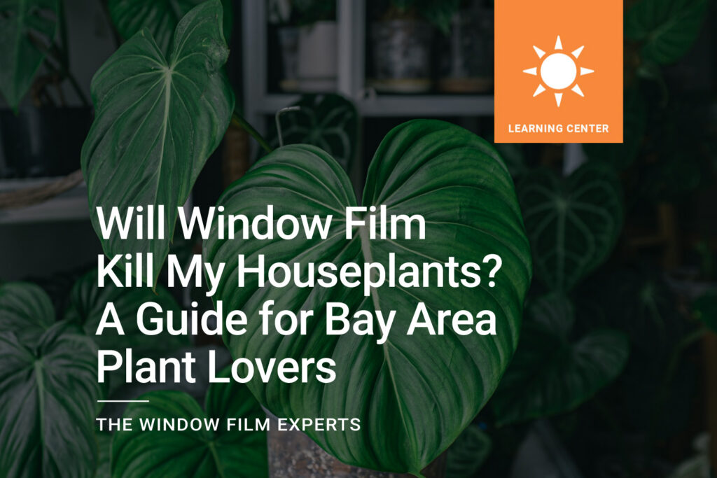 ClimatePro Houseplants Window Film